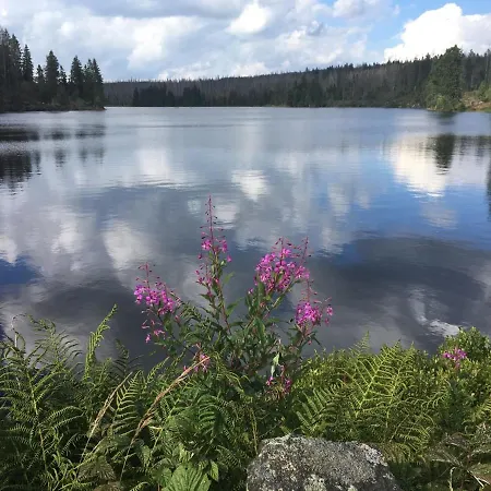 Harznest 2 Appartamento *