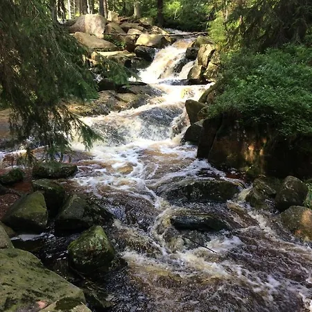 Apartmán Harznest 2 Braunlage