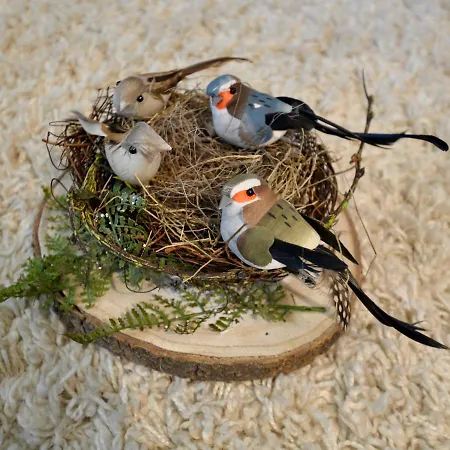 Appartamento Harznest 2 Braunlage