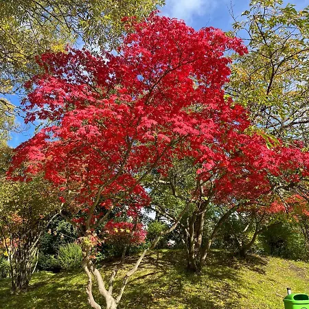 Apartmán Harznest 2