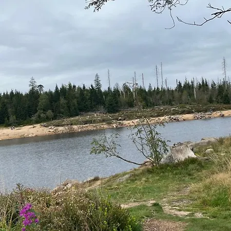 Harznest 2 Appartamento *