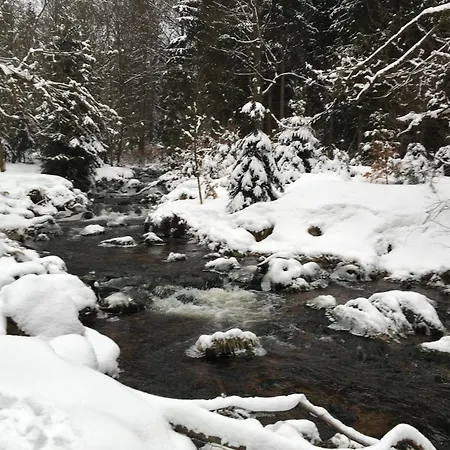 Harznest 2 Apartmán